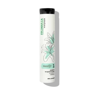 PRIMARIA Gyengéd, mindennapi használatra alkalmas bio sampon E-vitaminnal - 250 ml